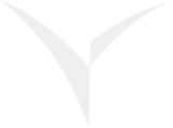 Merki VMST